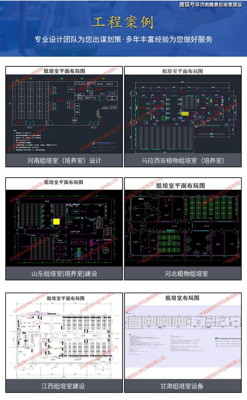 馬鈴薯組培實驗室的設計與計算機輔助設備配置